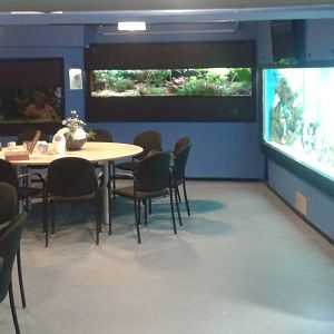 View in the first part of Aqua Zoo