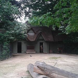 Deer house