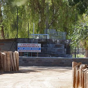 future jaguar exhibit