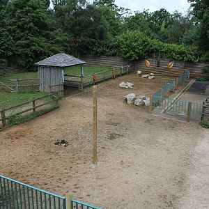Burchells Zebra enclosure 1-6-14