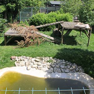 White Tiger enclosure 1-6-14