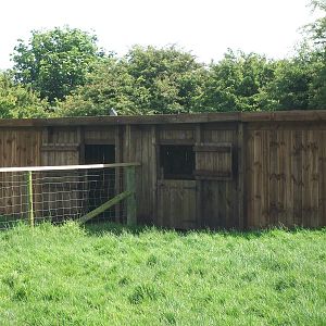 Alpaca shelter, 19th June 2014