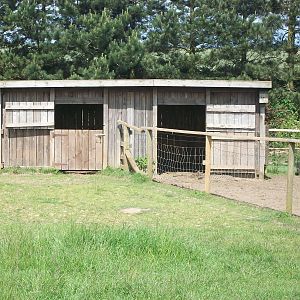 Shetland Pony and Donkey shelter, 19th June 2014