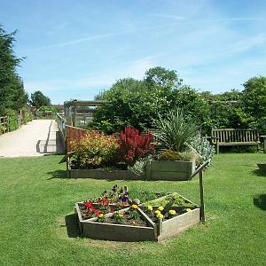 Looking towards the Pheasant and Duck Aviaries, 19th June 2014