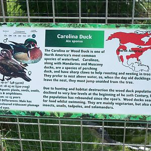 Signage, 19th June 2014