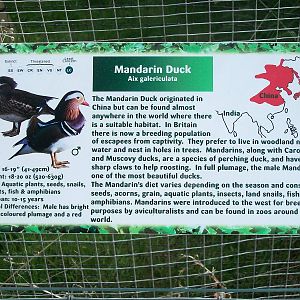 Signage, 19th June 2014