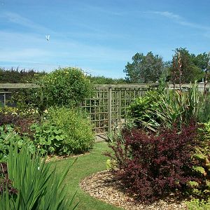 Gardens, 19th June 2014