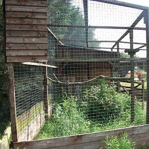Barn Owl Aviary from the Secret Garden, 19th June 2014