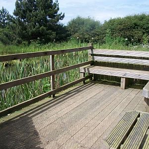 Seating in the Secret Garden, 19th June 2014