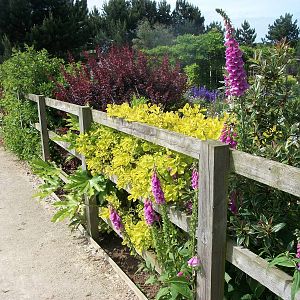 Turn right for the gardens, 19th June 2014