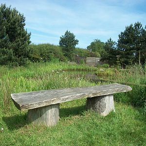 Seating near pond, 19th June 2014
