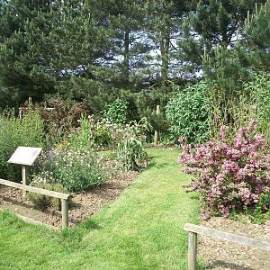Insect and bird feeding station area, 19th June 2014