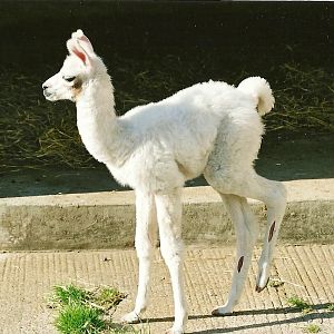 Barney, August (I think) 2008