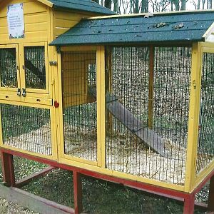 Rabbit cage, 1st November 2013