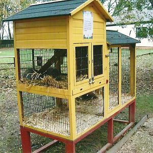 Rabbit cage, 1st November 2013