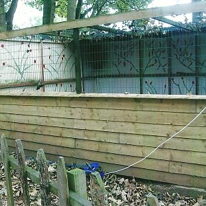 Aviary, 1st November 2013