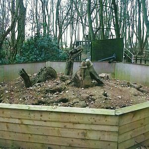 Meerkat Mountain, 1st November 2013