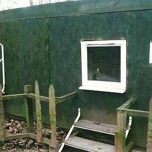 Indoor accommodation for Meerkats, 1st November 2013