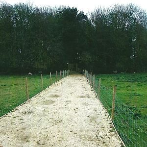 Looking back towards the original area, 1st November 2013