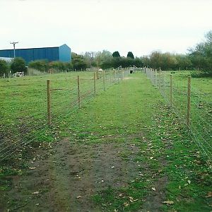 Pathway between paddocks, 1st November 2013