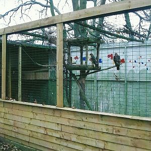 Aviary, 1st November 2013