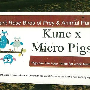 Signage, 1st November 2013