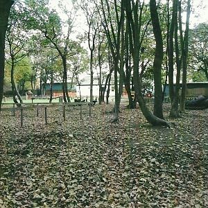 Looking across the original area of the park, 1st November 2013