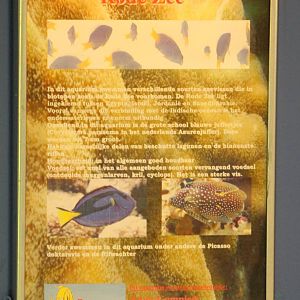 Information sign Red Sea