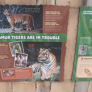 Tigers of the Realm Signage 1