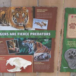 Tigers of the Realm Signage 2