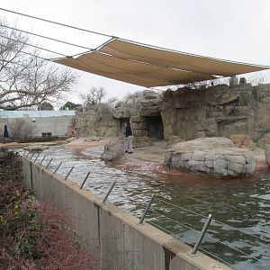 California Sea Lion Pool