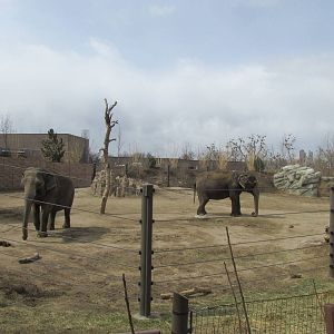 Toyota Elephant Passage