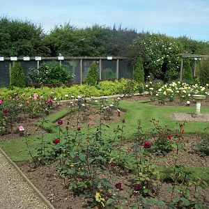 A bit wider view of the rose garden, 19th June 2014