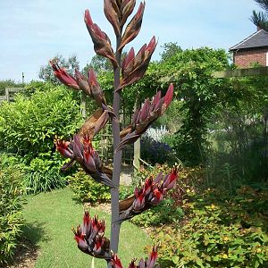 I am no horticulturalist, 19th June 2014