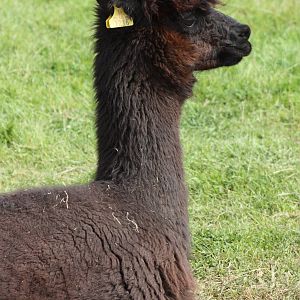 Hamish, 19th June 2014