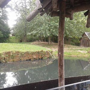 Lowland tapir enclosure