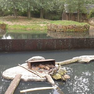 Tapir and Coypu enlosure