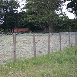 Less grazing on the other side, 27th June 2014