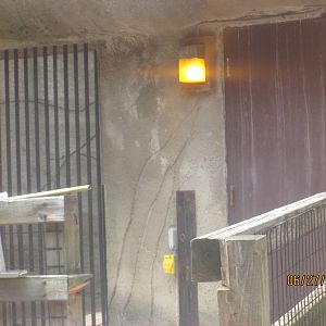 Behind the Scenes Bear exhibit