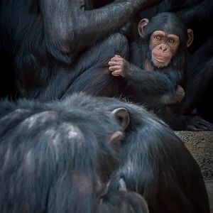 I Hope This Whole Thing Didn't Frighten You