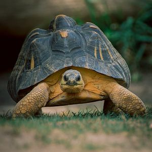 Take Me With You When You Go