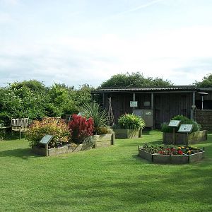 Sensory area, 19th June 2014