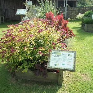 Sensory area, 19th June 2014