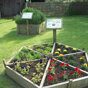 Sensory area, 19th June 2014