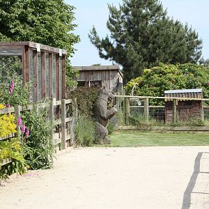 Follow the Bear, 19th June 2014