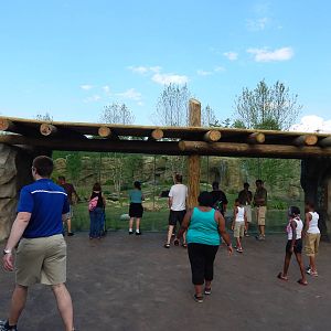 Jun. 2014 - Africa - Phase IV (New 2014!) - Painted Dog Valley Vieiwng Area