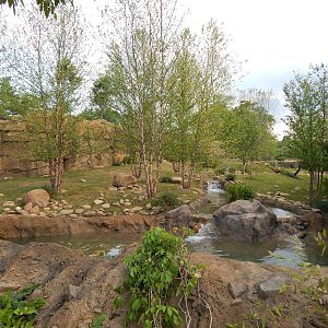 Jun. 2014 - Africa - Phase IV (New 2014!) - Painted Dog Valley