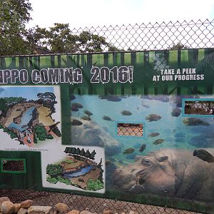 Jun. 2014 - Africa - Hippos Coming 2016! (Phase V)
