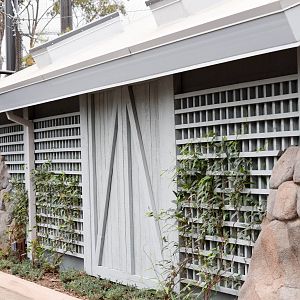 New Moutain Lion Exhibit