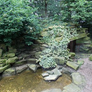 Part of Snow Leopard cage